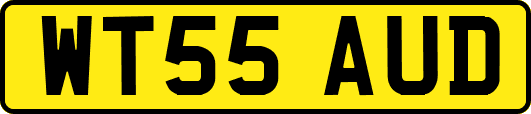 WT55AUD