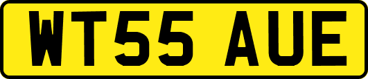 WT55AUE