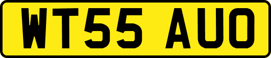 WT55AUO