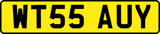 WT55AUY