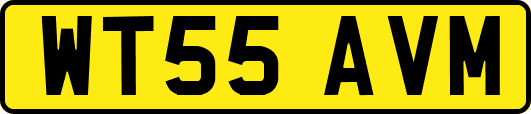 WT55AVM