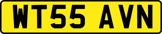 WT55AVN