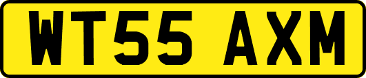 WT55AXM