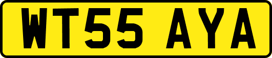 WT55AYA