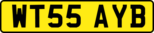 WT55AYB