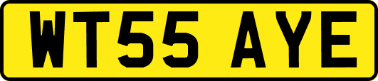 WT55AYE