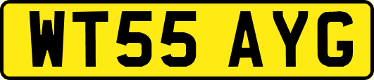 WT55AYG