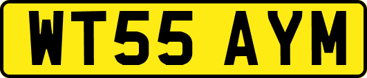 WT55AYM