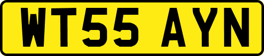 WT55AYN