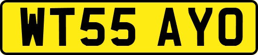 WT55AYO