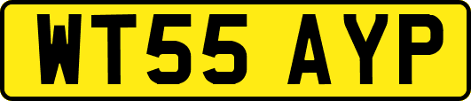 WT55AYP