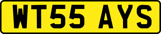 WT55AYS