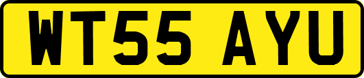 WT55AYU