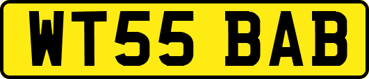 WT55BAB
