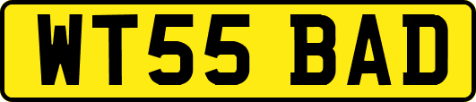 WT55BAD