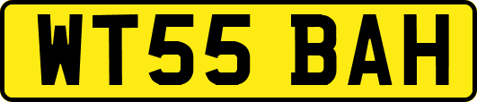 WT55BAH