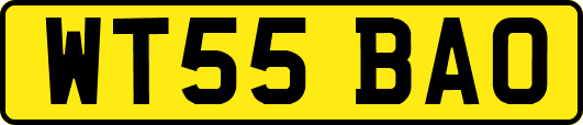 WT55BAO