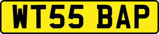 WT55BAP