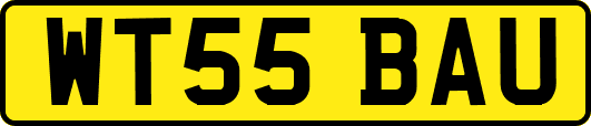 WT55BAU