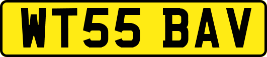 WT55BAV