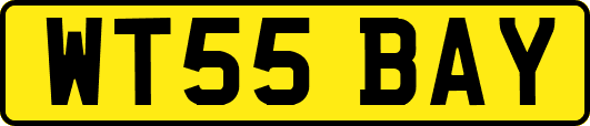 WT55BAY