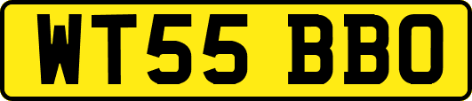 WT55BBO