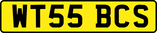 WT55BCS