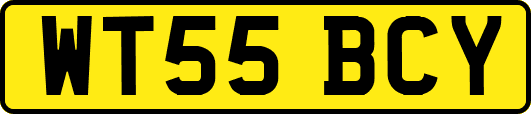 WT55BCY