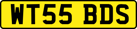 WT55BDS