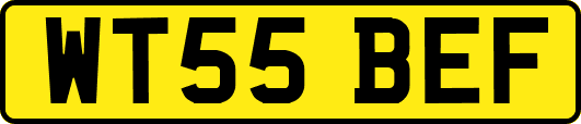 WT55BEF