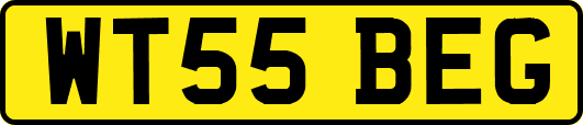 WT55BEG
