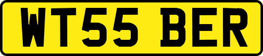WT55BER