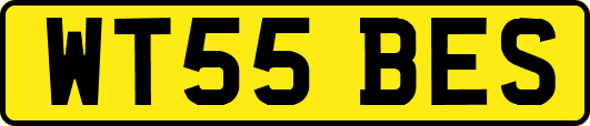 WT55BES