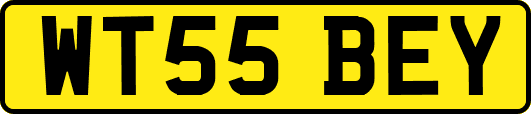 WT55BEY