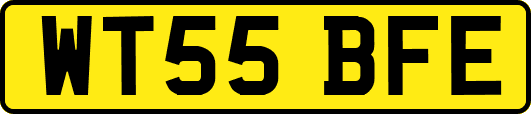 WT55BFE