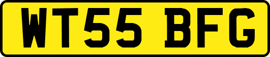 WT55BFG