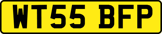 WT55BFP