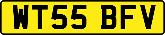 WT55BFV