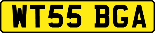 WT55BGA