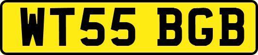 WT55BGB