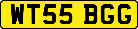WT55BGG