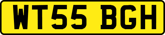 WT55BGH