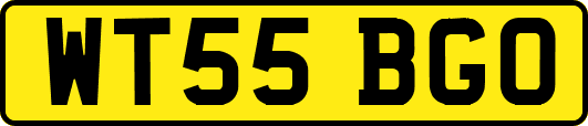 WT55BGO