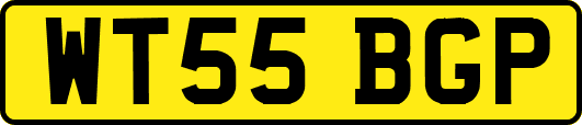WT55BGP
