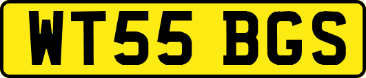 WT55BGS