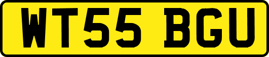 WT55BGU