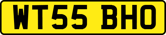 WT55BHO
