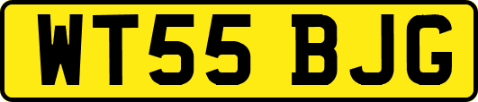 WT55BJG