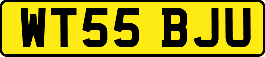 WT55BJU