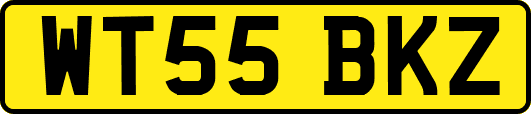 WT55BKZ